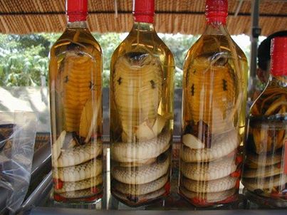 SNAKE WINE