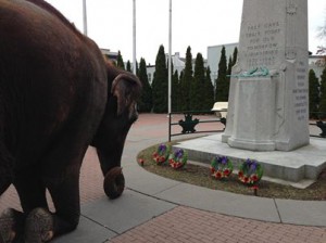 LIMBA AT WAR MEMORIAL